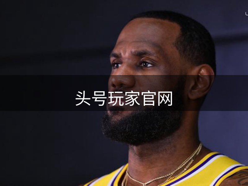 平台概况